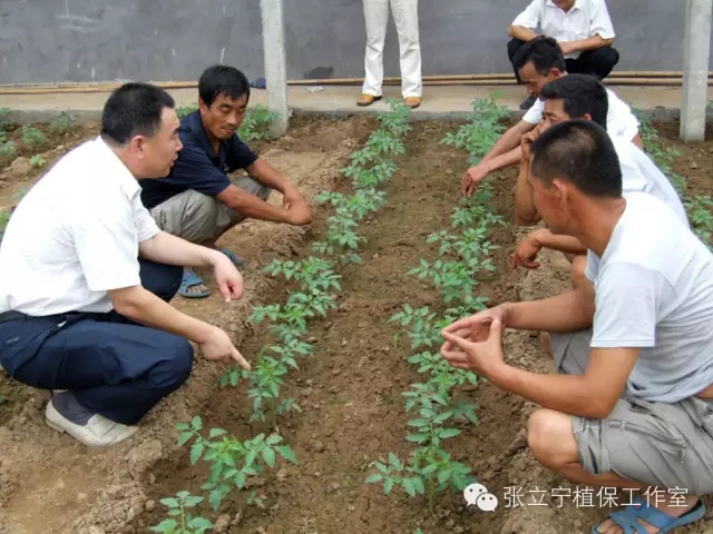 微生物菌劑的使用方法是什么？注意事項(xiàng)有哪些